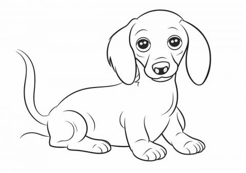 Dog Coloring Pages, weenie dog