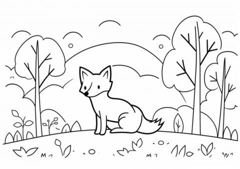 Fox — Coloring Pages: Free & Printable