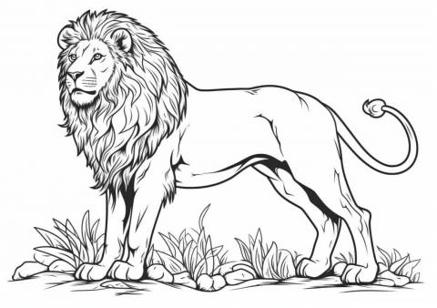 Lion — Coloring Pages: Free & Printable