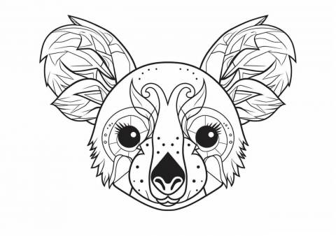 Koalas Coloring Pages Free Printable