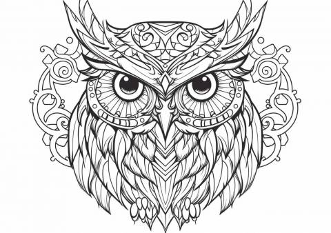 Owl Coloring Pages, Owl mandala