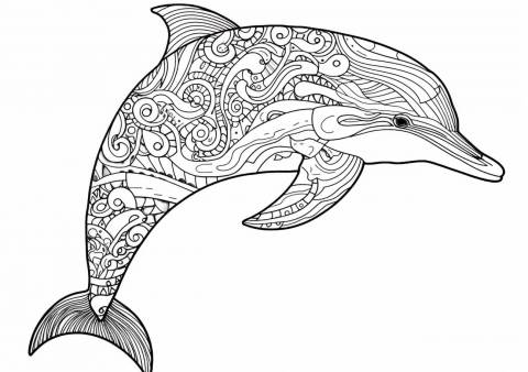 Dolphin Coloring Pages, Mandala dolphin