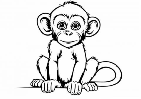 Monkeys Coloring Pages, Monkey see to you