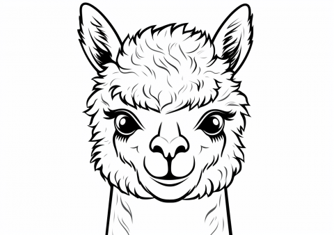 Alpaca — Coloring Pages: Free & Printable