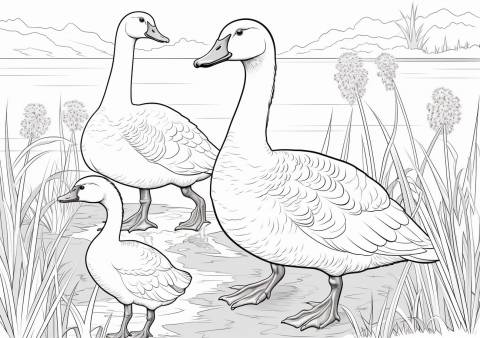 Geese Coloring Pages, A baby goose and adult geese in a swamp